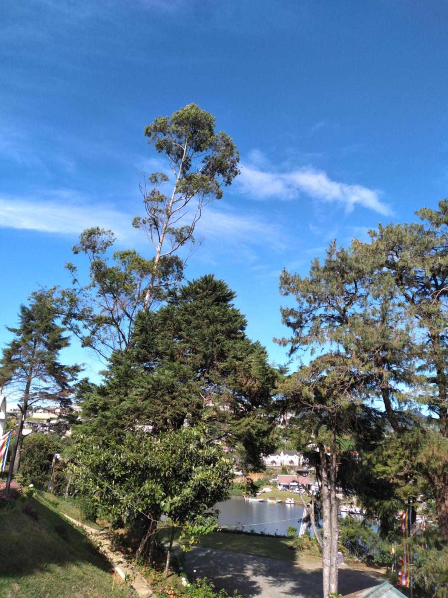 Eco Creations Nuwaraeliya Hotell Nuwara Eliya Exteriör bild